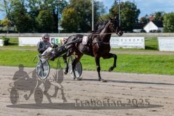 Dateiname=20250914_r07_042_R07_0054.jpg
Dateigröße=314KB
Abmessungen: 1000x667
hinzugefügt am: 16. September 2025 20250914_r07_042_R07_0054.jpg