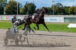 Dateiname=20250914_r07_043_R07_0055.jpg
Dateigröße=313KB
Abmessungen: 1000x667
hinzugefügt am: 16. September 2025 20250914_r07_043_R07_0055.jpg