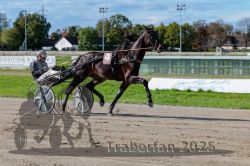 Dateiname=20250914_r07_044_R07_0056.jpg
Dateigröße=312KB
Abmessungen: 1000x667
hinzugefügt am: 16. September 2025 20250914_r07_044_R07_0056.jpg