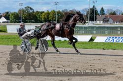 Dateiname=20250914_r07_045_R07_0057.jpg
Dateigröße=321KB
Abmessungen: 1000x667
hinzugefügt am: 16. September 2025 20250914_r07_045_R07_0057.jpg