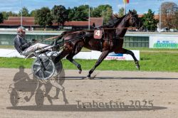 Dateiname=20250914_r07_048_R07_0061.jpg
Dateigröße=332KB
Abmessungen: 1000x667
hinzugefügt am: 16. September 2025 20250914_r07_048_R07_0061.jpg