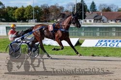 Dateiname=20250914_r07_050_R07_0065.jpg
Dateigröße=328KB
Abmessungen: 1000x667
hinzugefügt am: 16. September 2025 20250914_r07_050_R07_0065.jpg