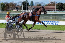 Dateiname=20250914_r07_051_R07_0066.jpg
Dateigröße=331KB
Abmessungen: 1000x667
hinzugefügt am: 16. September 2025 20250914_r07_051_R07_0066.jpg