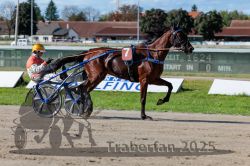 Dateiname=20250914_r07_052_R07_0067.jpg
Dateigröße=318KB
Abmessungen: 1000x667
hinzugefügt am: 16. September 2025 20250914_r07_052_R07_0067.jpg