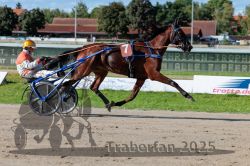 Dateiname=20250914_r07_054_R07_0069.jpg
Dateigröße=335KB
Abmessungen: 1000x667
hinzugefügt am: 16. September 2025 20250914_r07_054_R07_0069.jpg