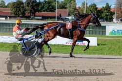 Dateiname=20250914_r07_055_R07_0070.jpg
Dateigröße=338KB
Abmessungen: 1000x667
hinzugefügt am: 16. September 2025 20250914_r07_055_R07_0070.jpg