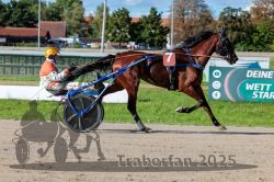 Dateiname=20250914_r07_056_R07_0071.jpg
Dateigröße=347KB
Abmessungen: 1000x667
hinzugefügt am: 16. September 2025 20250914_r07_056_R07_0071.jpg