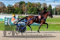 Dateiname=20250914_r07_058_R07_0073.jpg
Dateigröße=366KB
Abmessungen: 1000x667
hinzugefügt am: 16. September 2025 20250914_r07_058_R07_0073.jpg