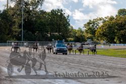 Dateiname=20250914_r07_059_R07_0075.jpg
Dateigröße=345KB
Abmessungen: 1000x667
hinzugefügt am: 16. September 2025 20250914_r07_059_R07_0075.jpg