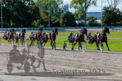 Dateiname=20250914_r07_081_R07_0104.jpg
Dateigröße=353KB
Abmessungen: 1000x667
hinzugefügt am: 16. September 2025 20250914_r07_081_R07_0104.jpg