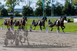 Dateiname=20250914_r07_082_R07_0105.jpg
Dateigröße=383KB
Abmessungen: 1000x667
hinzugefügt am: 16. September 2025 20250914_r07_082_R07_0105.jpg