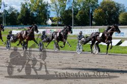 Dateiname=20250914_r07_086_R07_0110.jpg
Dateigröße=402KB
Abmessungen: 1000x667
hinzugefügt am: 16. September 2025 20250914_r07_086_R07_0110.jpg