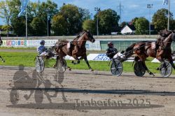 Dateiname=20250914_r07_090_R07_0114.jpg
Dateigröße=376KB
Abmessungen: 1000x667
hinzugefügt am: 16. September 2025 20250914_r07_090_R07_0114.jpg