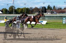 Dateiname=20250914_r07_092_R07_0118.jpg
Dateigröße=321KB
Abmessungen: 1000x667
hinzugefügt am: 16. September 2025 20250914_r07_092_R07_0118.jpg