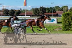 Dateiname=20250914_r07_094_R07_0121.jpg
Dateigröße=325KB
Abmessungen: 1000x667
hinzugefügt am: 16. September 2025 20250914_r07_094_R07_0121.jpg