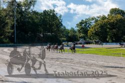 Dateiname=20250914_r07_097_R07_0124.jpg
Dateigröße=381KB
Abmessungen: 1000x667
hinzugefügt am: 16. September 2025 20250914_r07_097_R07_0124.jpg