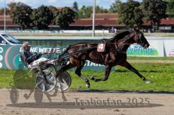 Dateiname=20250914_r07_125_R07_0153.jpg
Dateigröße=332KB
Abmessungen: 1000x667
hinzugefügt am: 16. September 2025 20250914_r07_125_R07_0153.jpg