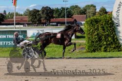 Dateiname=20250914_r07_126_R07_0154.jpg
Dateigröße=341KB
Abmessungen: 1000x667
hinzugefügt am: 16. September 2025 20250914_r07_126_R07_0154.jpg