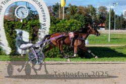 Dateiname=20250914_r07_131_R07_0162.jpg
Dateigröße=345KB
Abmessungen: 1000x667
hinzugefügt am: 16. September 2025 20250914_r07_131_R07_0162.jpg