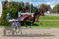 Dateiname=20250914_r07_132_R07_0163.jpg
Dateigröße=380KB
Abmessungen: 1000x667
hinzugefügt am: 16. September 2025 20250914_r07_132_R07_0163.jpg