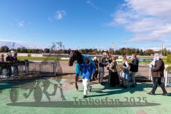 Dateiname=20250914_r07_133_CR5_0241.jpg
Dateigröße=329KB
Abmessungen: 1000x667
hinzugefügt am: 16. September 2025 20250914_r07_133_CR5_0241.jpg