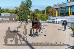 Dateiname=20250914_r08_124_CR5_0281.jpg
Dateigröße=391KB
Abmessungen: 1000x667
hinzugefügt am: 16. September 2025 20250914_r08_124_CR5_0281.jpg