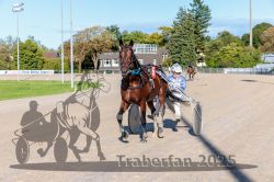 Dateiname=20250914_r08_127_CR5_0284.jpg
Dateigröße=360KB
Abmessungen: 1000x667
hinzugefügt am: 16. September 2025 20250914_r08_127_CR5_0284.jpg