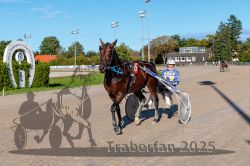 Dateiname=20250914_r08_129_CR5_0286.jpg
Dateigröße=351KB
Abmessungen: 1000x667
hinzugefügt am: 16. September 2025 20250914_r08_129_CR5_0286.jpg