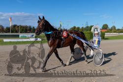 Dateiname=20250914_r08_133_CR5_0290.jpg
Dateigröße=294KB
Abmessungen: 1000x667
hinzugefügt am: 16. September 2025 20250914_r08_133_CR5_0290.jpg