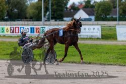 Dateiname=20250914_r09_023_R09_0031.jpg
Dateigröße=281KB
Abmessungen: 1000x667
hinzugefügt am: 16. September 2025 20250914_r09_023_R09_0031.jpg