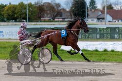 Dateiname=20250914_r09_026_R09_0035.jpg
Dateigröße=271KB
Abmessungen: 1000x667
hinzugefügt am: 16. September 2025 20250914_r09_026_R09_0035.jpg