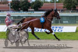 Dateiname=20250914_r09_028_R09_0038.jpg
Dateigröße=272KB
Abmessungen: 1000x667
hinzugefügt am: 16. September 2025 20250914_r09_028_R09_0038.jpg