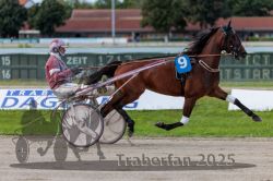 Dateiname=20250914_r09_029_R09_0039.jpg
Dateigröße=270KB
Abmessungen: 1000x667
hinzugefügt am: 16. September 2025 20250914_r09_029_R09_0039.jpg