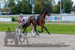 Dateiname=20250914_r09_031_R09_0041.jpg
Dateigröße=279KB
Abmessungen: 1000x667
hinzugefügt am: 16. September 2025 20250914_r09_031_R09_0041.jpg