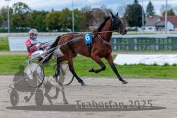 Dateiname=20250914_r09_035_R09_0046.jpg
Dateigröße=274KB
Abmessungen: 1000x667
hinzugefügt am: 16. September 2025 20250914_r09_035_R09_0046.jpg