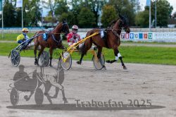 Dateiname=20250914_r09_040_R09_0051.jpg
Dateigröße=316KB
Abmessungen: 1000x667
hinzugefügt am: 16. September 2025 20250914_r09_040_R09_0051.jpg