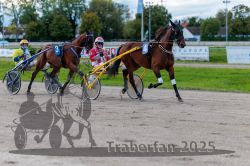 Dateiname=20250914_r09_042_R09_0053.jpg
Dateigröße=316KB
Abmessungen: 1000x667
hinzugefügt am: 16. September 2025 20250914_r09_042_R09_0053.jpg