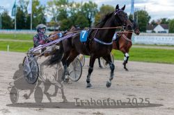 Dateiname=20250914_r09_049_R09_0064.jpg
Dateigröße=305KB
Abmessungen: 1000x667
hinzugefügt am: 16. September 2025 20250914_r09_049_R09_0064.jpg