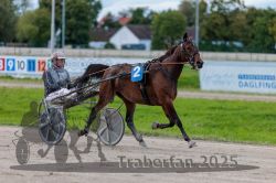 Dateiname=20250914_r09_053_R09_0068.jpg
Dateigröße=271KB
Abmessungen: 1000x667
hinzugefügt am: 16. September 2025 20250914_r09_053_R09_0068.jpg