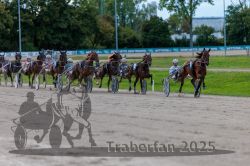 Dateiname=20250914_r09_061_R09_0076.jpg
Dateigröße=294KB
Abmessungen: 1000x667
hinzugefügt am: 16. September 2025 20250914_r09_061_R09_0076.jpg