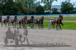 Dateiname=20250914_r09_062_R09_0077.jpg
Dateigröße=298KB
Abmessungen: 1000x667
hinzugefügt am: 16. September 2025 20250914_r09_062_R09_0077.jpg