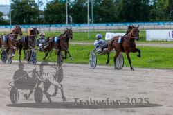 Dateiname=20250914_r09_067_R09_0082.jpg
Dateigröße=286KB
Abmessungen: 1000x667
hinzugefügt am: 16. September 2025 20250914_r09_067_R09_0082.jpg