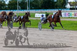 Dateiname=20250914_r09_068_R09_0083.jpg
Dateigröße=297KB
Abmessungen: 1000x667
hinzugefügt am: 16. September 2025 20250914_r09_068_R09_0083.jpg