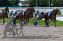 Dateiname=20250914_r09_072_R09_0088.jpg
Dateigröße=274KB
Abmessungen: 1000x667
hinzugefügt am: 16. September 2025 20250914_r09_072_R09_0088.jpg