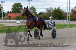 Dateiname=20250914_r10_039_R10_0048.jpg
Dateigröße=277KB
Abmessungen: 1000x667
hinzugefügt am: 16. September 2025 20250914_r10_039_R10_0048.jpg