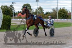 Dateiname=20250914_r10_040_R10_0049.jpg
Dateigröße=285KB
Abmessungen: 1000x667
hinzugefügt am: 16. September 2025 20250914_r10_040_R10_0049.jpg