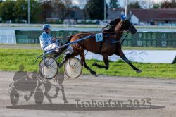 Dateiname=20250914_r11_041_R11_0054.jpg
Dateigröße=286KB
Abmessungen: 1000x667
hinzugefügt am: 16. September 2025 20250914_r11_041_R11_0054.jpg