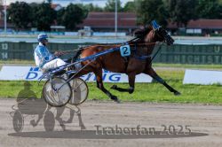 Dateiname=20250914_r11_044_R11_0057.jpg
Dateigröße=283KB
Abmessungen: 1000x667
hinzugefügt am: 16. September 2025 20250914_r11_044_R11_0057.jpg