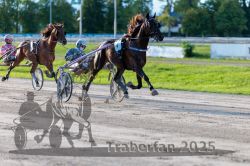 Dateiname=20250914_r11_047_R11_0060.jpg
Dateigröße=314KB
Abmessungen: 1000x667
hinzugefügt am: 16. September 2025 20250914_r11_047_R11_0060.jpg