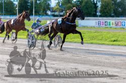 Dateiname=20250914_r11_048_R11_0061.jpg
Dateigröße=314KB
Abmessungen: 1000x667
hinzugefügt am: 16. September 2025 20250914_r11_048_R11_0061.jpg